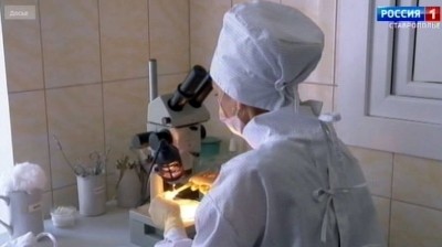Десятки ставропольцев заболели после укусов клещей Десятки ставропольцев заболели после укусов клещей