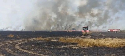 В Нефтекумском округе сгорело 140 гектаров пшеницы