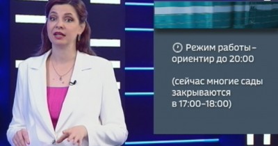 Новые горизонты дошкольного образования: что изменится в детских садах в 2026 году Новые горизонты дошкольного образования: что изменится в детских садах в 2026 году